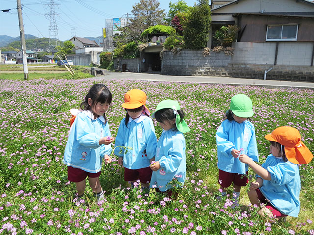 今月のできごと ｜ 学校法人光陵学園 あかね幼稚園